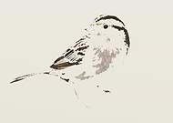 2018-05-26/27353699fef09277003385dcc39963a0_07ed0414731cc9554b7f3880d5dcba97