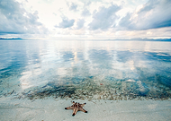 2018-05-26/c9627356780994f1d60f08dbdb6fdfa4_9ef2ff10532405b592d8ed3708996320