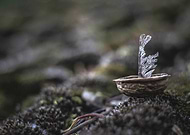 2018-05-28/0b8eac17a052c99f29c34747451e8f37_f947f3278692a2eca58e0d7d68d76b90