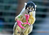 2018-05-30/b82d301af09a6cc6c5570837a870a772_113563ac20c9465e1960c127bfb4b211