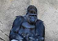 2018-05-30/d3ed00ed5b70daebb58d6ac390ca9177_8e02f1c0ed931b398ff104ff3ad756a2