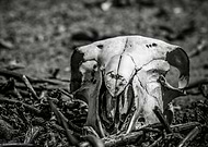 2018-06-05/4a23d06984c17e5442bbcae6039fb023_4627ab9f1fec0fedb97d060e9ab741fc