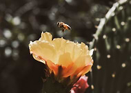 2018-06-07/32179de44c7c73b6d2ac215fba4ae8ce_8881c54a96eb40ea395d4ab8b398ea50