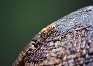 2018-06-07/757ef4cf02f4bb9db5dd280a76ce3416_e42db3e9874fbeae2ea679bb245c742b