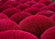 2018-06-09/17bb66041d04f119345406896045f3c8_0a2eeee75ac2fe4fa44e6fe796676dc4