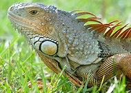 2018-06-09/cdb506a4a500edc9a87bc1352d6c1748_e3af2496d8f4149532a5e392d8364765