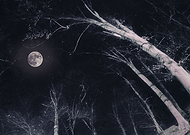 2018-06-10/c22b249ff97520ee377e14b1d070891b_dd9f43bf3b6d869525e054dfc0fe298b