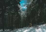 2018-06-11/9909727784aa5247d406d5cdbc9c8837_db6bdb19180de1a4ccfa235e7caf3ee4