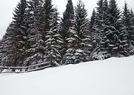 2018-06-13/762656907ab57f2dd49021fd4072044e_b93795bc6036001568c6a6d084fb1799