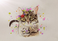 2018-06-17/fc415ab42ea9eb777bb15401d080dd80_78391a7eba4e05f03ee2ef15eff3ff7d