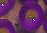 2018-06-19/8a3539b7a110e8dd88298e7cb2229b6f_25ca99ddb6293034f0ab9c7dd02fd5d8