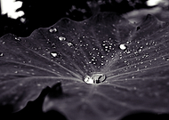 2018-06-20/198f246248c4af8a4bcb26d805edea7c_16ee1c7ed926fdc774751dc08bd33547