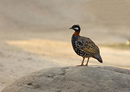 2018-06-21/65d5da5fbcf55e6fbd6b14352d631560_c12c0bb0db7241160a66ed0366f55306