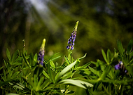 2018-06-22/1a07fcb0687a8220be6654f8489e0388_421fe35e3fbb4be3ac12375560e8d40b