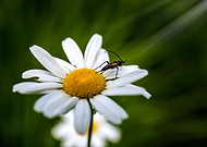 2018-06-22/f4c68d17c996e935d96241c5e3c6cafc_1e3cdacb53ec583513ec6f18dcf4c339