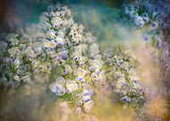 2018-06-30/f149c1ff8531735778f961bfd9c6fdf6_f80821cb4ef8e10eb0b21a1c8426ec30