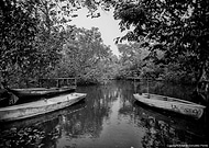 2018-07-01/f28882c29921453f53c1c6a4d0c3cb8e_0ad950b0a5446099a3fa9de01dfbee45