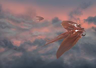 2018-07-02/cb3d02dbe66a9aa0a02171ca5816e5e8_5b8fadcb0ed03dd8c35430188138bc3f