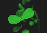 2018-07-03/1f10f414967d41e7a977de11e5ba17f2_21db60e586518fac679b701bb1f3570a