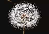 2018-07-03/3bf23e20aca58a87983259d825b7965f_7564683d9ed658e98d55958a859ba426