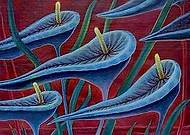 2018-07-05/bbeb0a00039d0201f20c3ad7b617a27a_093a4082fae5918fcc4ceceba025a235