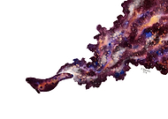 2018-07-06/250ac4bc2c26d9612ad0ca1880cabeba_29a2bf34c19819ecc77e017c3d8b922f