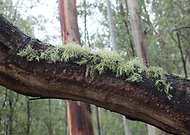 2018-07-06/80b5fb0f863a1bdc23eeb76e71fd4389_90607dde539503f00c0b2bfd111a04da