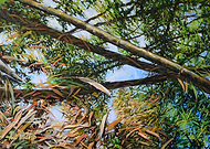 2018-07-07/4785c1db86bb9f3067791c3555b083d6_5280e035cf48736232655b2ee605ed97