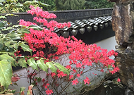 2018-07-09/efc9b3a2fb77c429f4941d9fa3e5fc79_4cea7a621caf30073339de4f87fb4ef3