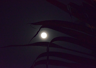 2018-07-09/ff6d6ceea9ef68e1fbeca1b29869213c_a510970c2a641ad0bb1d2b78a43ada37