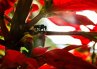 2018-07-11/02cada71effe278e6f72c8b4d9393abd_7460548d5de9e3b7194cd752e016d866