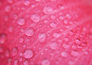 2018-07-11/56fe6f75cba726ca6e162acf874eb519_ea2a9df63e90f970ed038d90ce408144