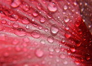 2018-07-11/9248edbf1cbefe34d3472935ec6325a8_6e10e0fad86ad5d494620b27629978a7