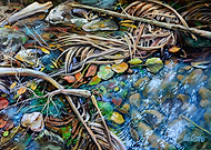 2018-07-11/b53e1e941dabec243456269473e4a12a_0b43f41d2ef0cf8299a08664544dc8a1