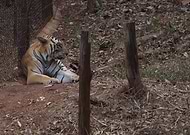 2018-07-12/24aeb9133c6760850c16a727d6da6690_c3def8d945703975a3e7aa0b055dfc20