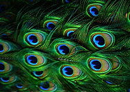 2018-07-12/b971da0f3f53f0c913e4941fbf8b0489_a8b8bc4b43402e78bce5982e3b831974