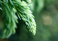 2018-07-13/0d7c2af410acddea59201785b72d53e7_d10f337c931ca02da6b2b9fa42e91e08