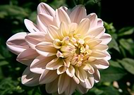 2018-07-14/04163d07eaec2d8c7a99467741645e98_68b24fdaa40e7a3e48f6499c4444f10d