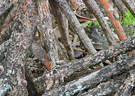 2018-07-14/6107a0aa4f2fed242d92eaf1931bd691_3fb8a201b6901792bdd36c6fc6dd6d24