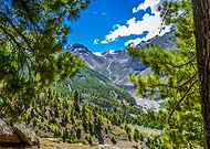 2018-07-15/7d91b3efd2899f788675941b686d9611_e2262af1e5289bf5eae52e1fa81558d3