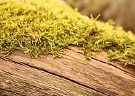 2018-07-16/ae717abbc04b5356e1df0664c8d1a47a_eb46f9c7b5c553fa3905eb45b28fa885