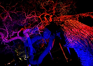 2018-07-17/b1fdc0aeeb4d7e185e9271e725110b2f_49de6468ed2bf7f8ac6080a5bc0b86c3