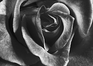 2018-07-18/28f0d42d59542619b7e21cd997beae7d_b0947379bfe92ddbabb0b9e94a2e7d51