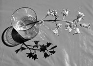 2018-07-18/d4770c9caae65ace8d1fb1b5efd570cb_ae0d0b28122954aad18152599da8ef39