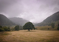 2018-07-21/0ef4dd38c0783c1f57526ffc21baeb4a_ecbd6ed38c5238c8c1b8c011376a12ec