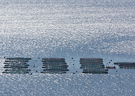 2018-07-21/392ef53f692bf7044c977b589e6451fe_39520e9bcc5fc722c82bed9913a1b349