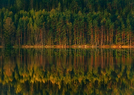 2018-07-23/8bfe052a396c691e7b5d74552ea70315_68d3a80e3f6db774ccbc3edc621a2c6a