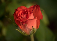 2018-07-23/d1696ec84241ff83f3858f8e154fb831_83519210eef38a5be757d65e0553db7e