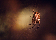 2018-07-24/1fb4b868f04c6a71d47880da1c99cd17_76807fa325937169bcb8c125267ded07