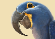 2018-07-24/d99c63c78b75348789eac3f63559bfec_bdaca4240f81aa06848d94c06f6f96b5